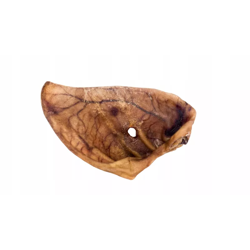 Maced Duże ucho wieprzowe 1 szt