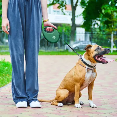 Smycz dla Psa WAUDOG R leash – Wygoda i Bezpieczeństwo