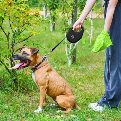 Smycz dla Psa WAUDOG R leash – Wygoda i Bezpieczeństwo