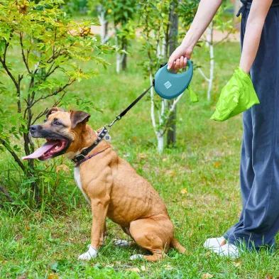 Smycz dla Psa WAUDOG R leash – Wygoda i Bezpieczeństwo