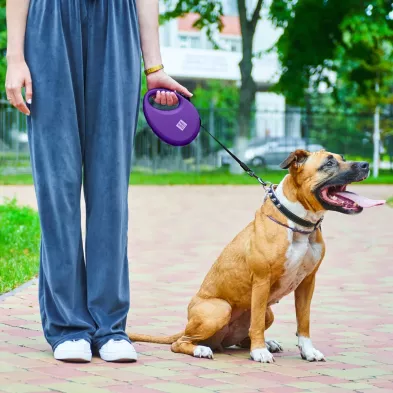 Smycz dla Psa WAUDOG R leash – Wygoda i Bezpieczeństwo