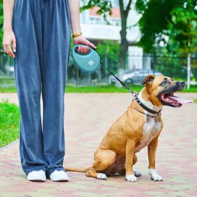 Smycz dla Psa WAUDOG R leash – Wygoda i Bezpieczeństwo