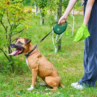 Smycz dla Psa WAUDOG R leash – Wygoda i Bezpieczeństwo