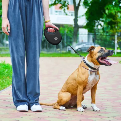 Smycz dla Psa WAUDOG R leash – Wygoda i Bezpieczeństwo