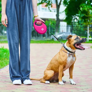 Smycz dla Psa WAUDOG R leash – Wygoda i Bezpieczeństwo