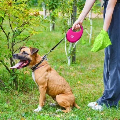 Smycz dla Psa WAUDOG R leash – Wygoda i Bezpieczeństwo