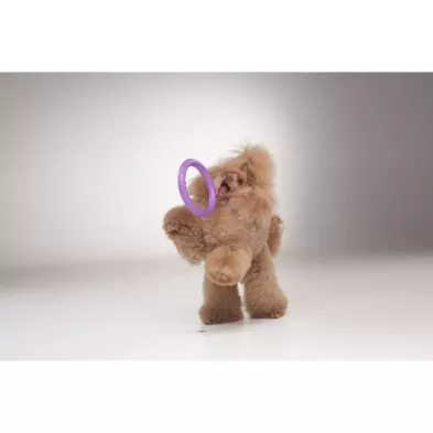 Puller Micro Ø12,5 cm – Idealny Atrybut Treningowy dla Małych Ras
