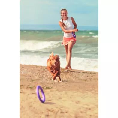 Puller Micro Ø12,5 cm – Idealny Atrybut Treningowy dla Małych Ras