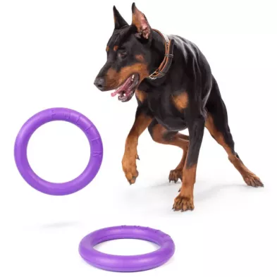 Puller Micro Ø12,5 cm – Idealny Atrybut Treningowy dla Małych Ras