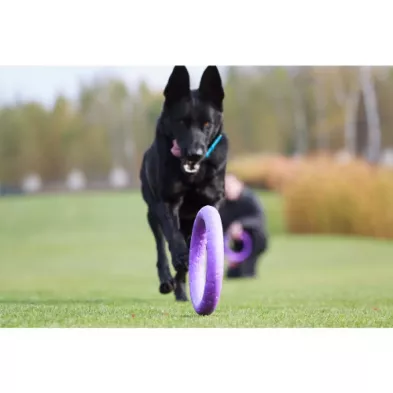 Puller Micro Ø12,5 cm – Idealny Atrybut Treningowy dla Małych Ras