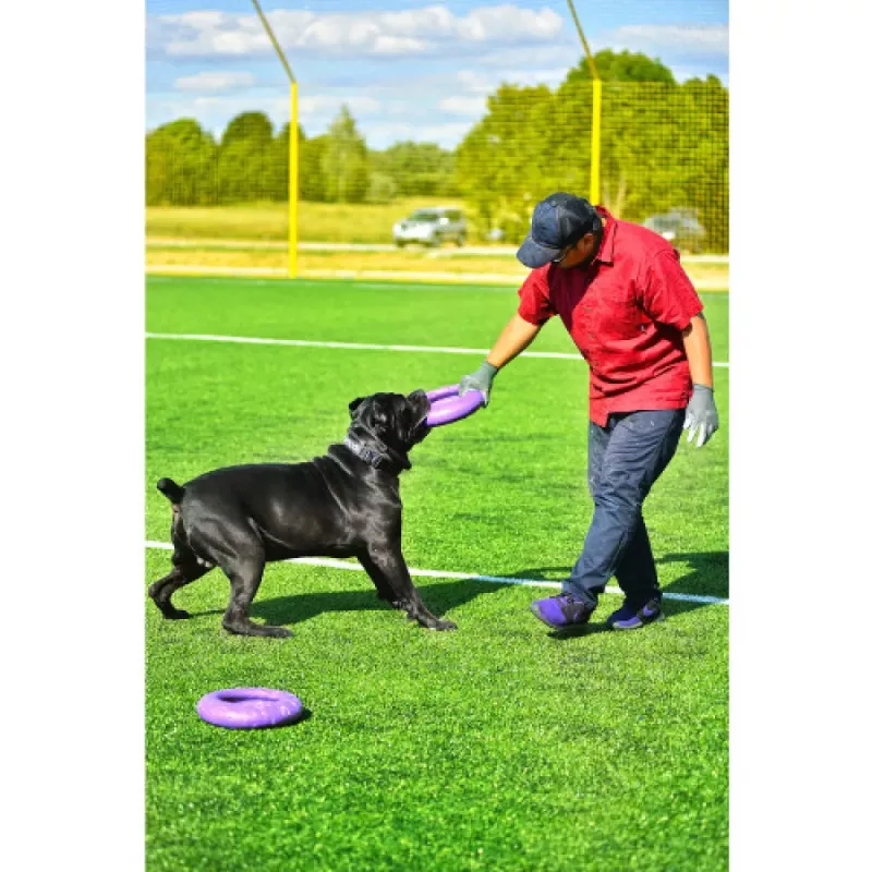 Puller Standard Ø28 cm – Trening dla Psów Średnich i Dużych Ras