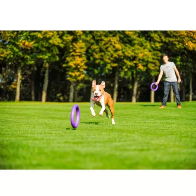 Puller Maxi Ø30 cm – Trening dla Psów Średnich i Dużych Ras