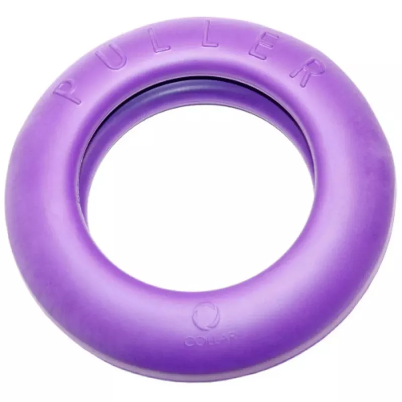 prezent dla psa na święta