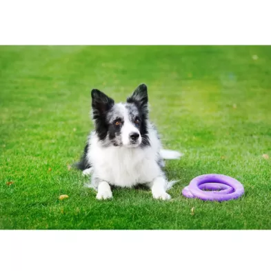 Puller Standard Ø28 cm – Trening dla Psów Średnich i Dużych Ras