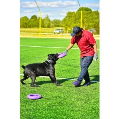 Puller Standard Ø28 cm – Trening dla Psów Średnich i Dużych Ras